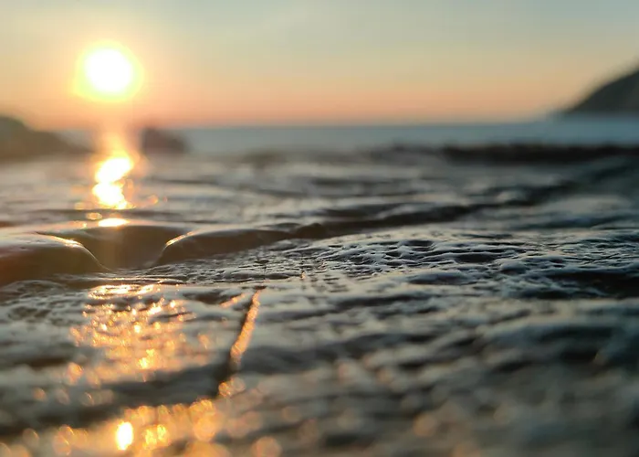 Konukevi Maison Du Vale